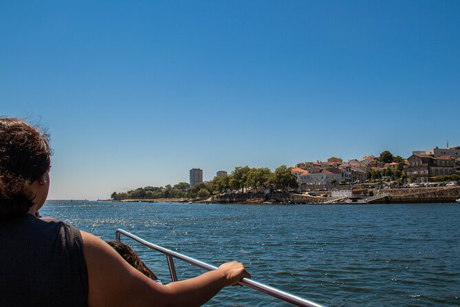 Porto Six Bridges Panoramic Cruise on the Douro River - Price and Value: A Short Cruise That Still Delivers