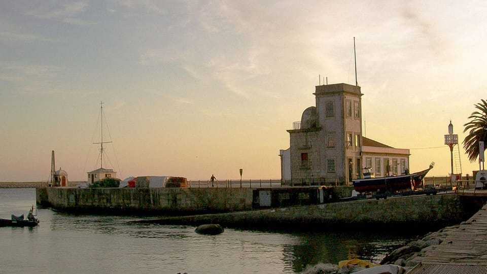 Porto Sunset Bike Tour - Calém Garden birdlife and the sunset payoff