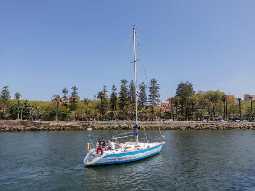 Porto: Sunset Cruise with Welcome Drink in a Sailboat - Weather, what to bring, and how to avoid an uncomfortable evening