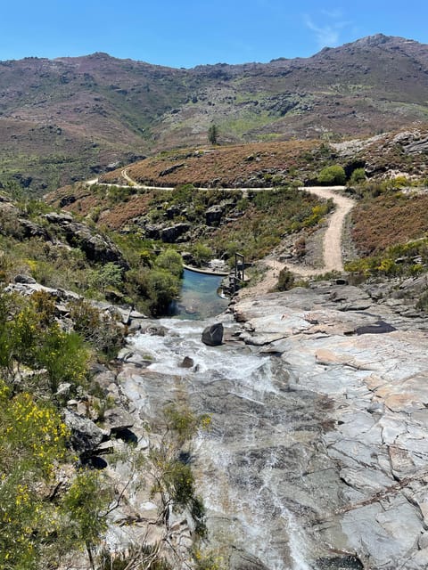 Porto: swimming, hiking, picnic in Gerês National Park - Picnic lunch in the park: Portuguese finger foods that keep you going