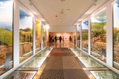 Porto: Taylor’s Port Cellar Tour & WOW Museum Pack - Taylor’s 300-year-old Port cellars: pacing a self-guided visit