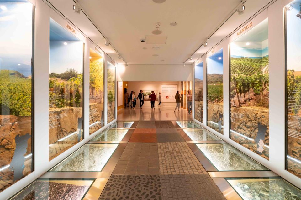 Porto: Taylor’s Port Cellar Tour & WOW Museum Pack - Taylor’s 300-year-old Port cellars: pacing a self-guided visit