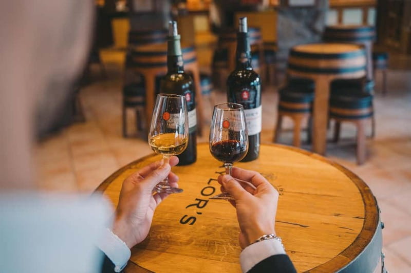 Porto: Taylor’s Port Cellar Tour & WOW The Wine Experience - WOW Wine Experience: your fastest path to understanding Port