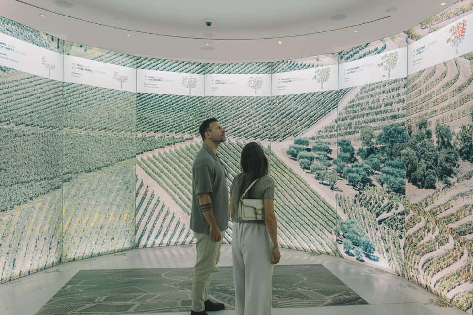 Porto: The Wine Experience, Best Wine Museum in the World - Practical Tips for Your 90 Minutes in The Wine Experience
