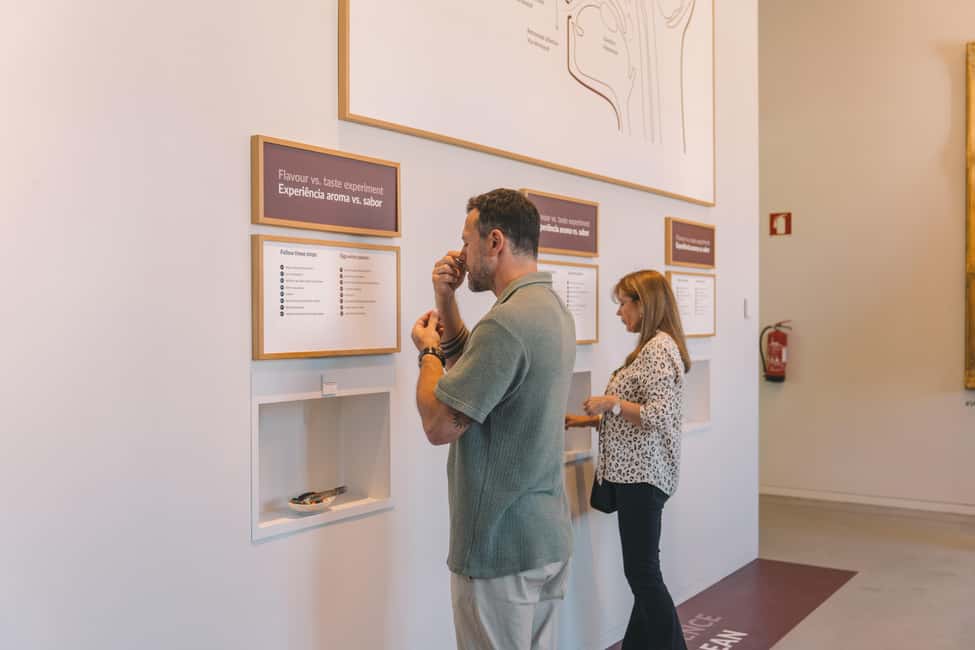 Porto: The Wine Experience, Best Wine Museum in the World - Inside the Exhibition: From Soil and Climate to Bottle and Glass