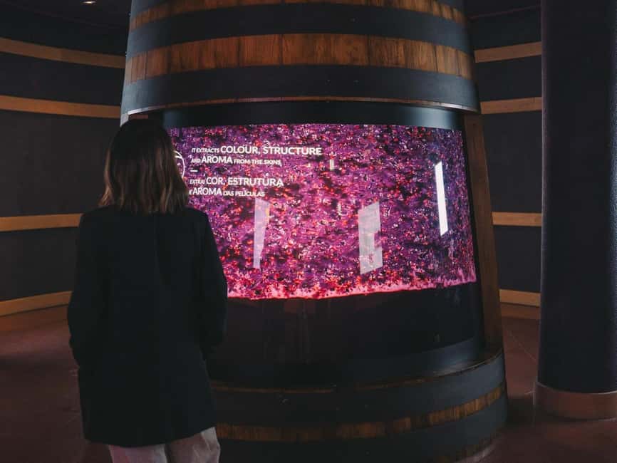 Porto: The Wine Experience, Best Wine Museum in the World - The Guided Tasting of Red, White, and Port: Learn to Taste, Not Just Sip