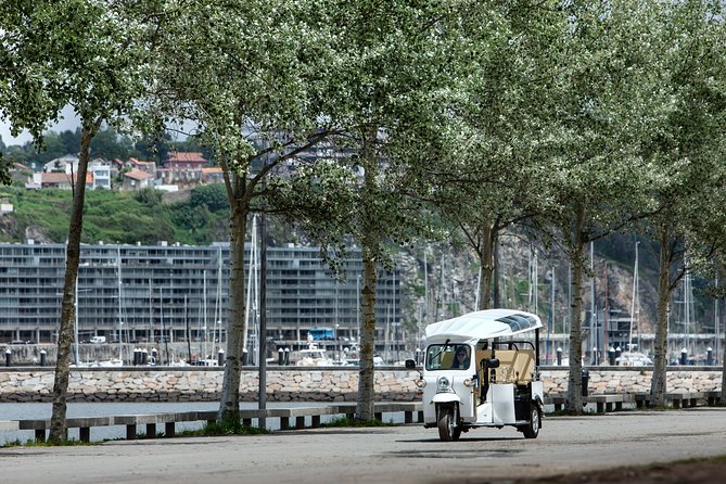 Porto Tuk Tuk: Clérigos, Seaside & Viewpoints - with Options - Palácio de Cristal Gardens: Your Calm Douro Reset
