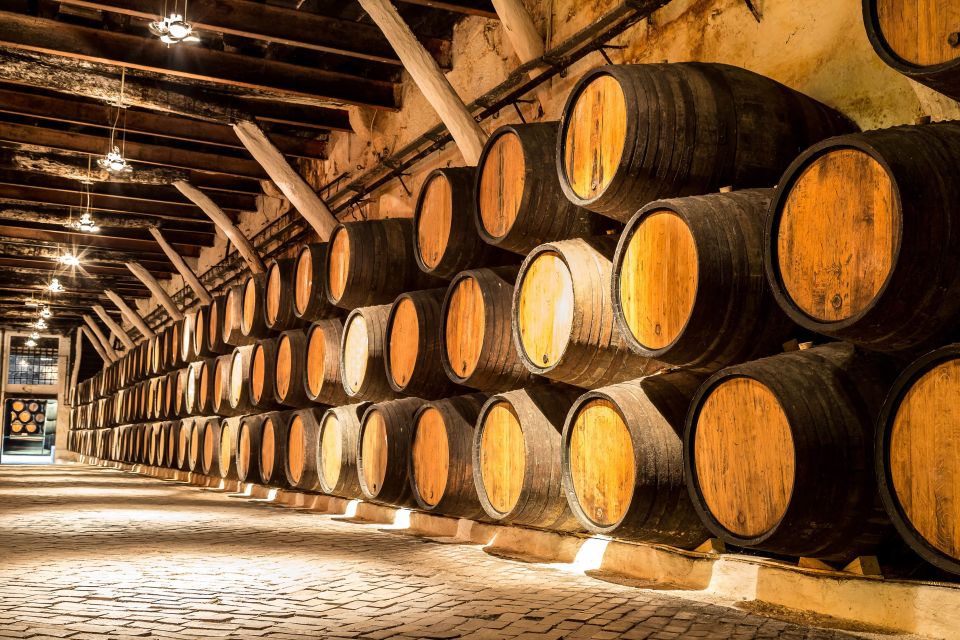 Porto: Tuk-Tuk Tour, Douro River Cruise, and Wine Tasting - Porto City Walking Tour: The Next-Day Bonus That Helps Everything Click