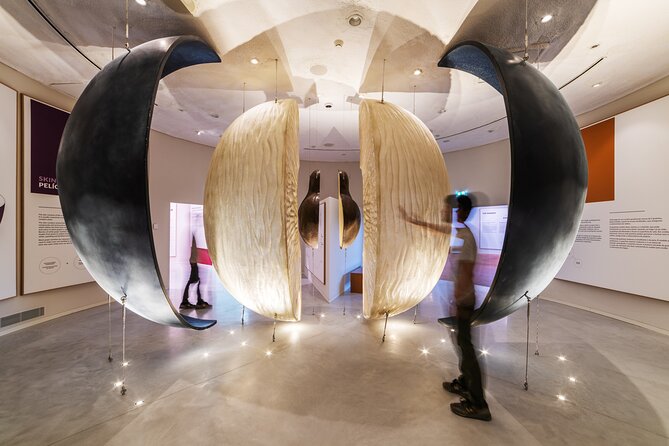 Porto: Wine Experience Museum with 3 Wine Tastings - Entering the museum: ticket check and first impressions