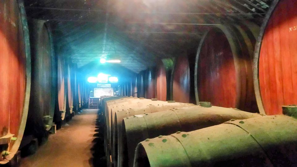 Portuguese Wine History & Amazing Landscape - A Spring Wine-and-Coast Day from Lisbon: 8 Hours, Up to 3 People