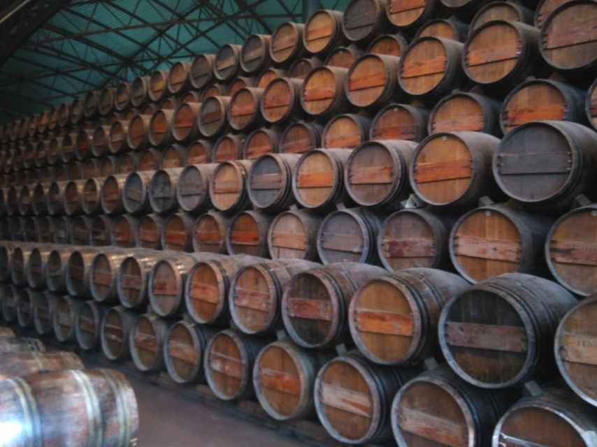 Portuguese Wine History & Amazing Landscape - Price and Value for a Group of Up to Three