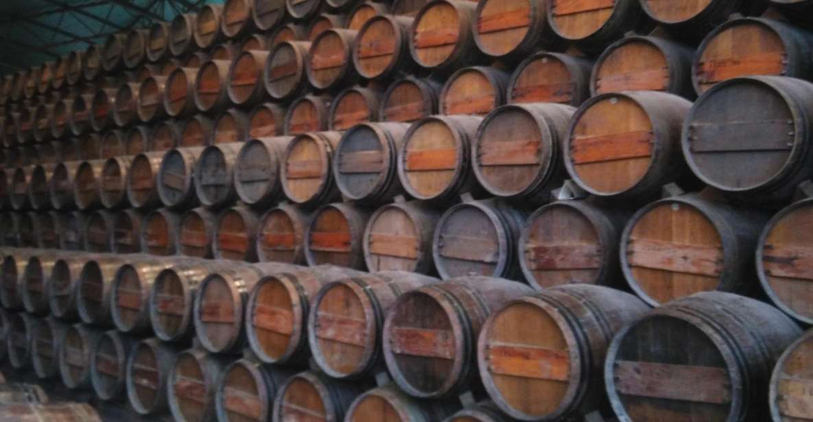 Portuguese Wine History & Amazing Landscape - Palmela Castle: Moorish Walls Over Tagus and Sado