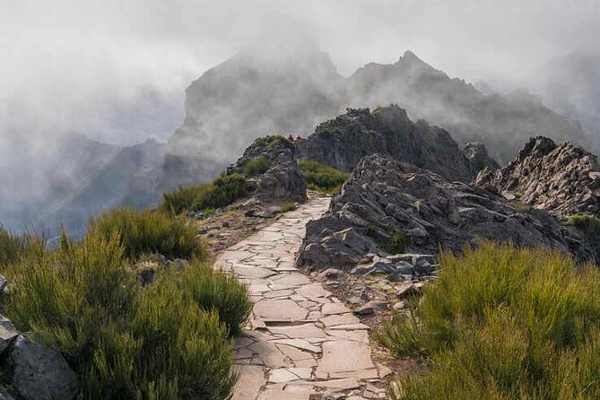 PR1 Pico do Arieiro Self-Guided Hiking Transfer (Morning slot) - Vereda do Burro (PR3): The Mostly-Downhill Breather