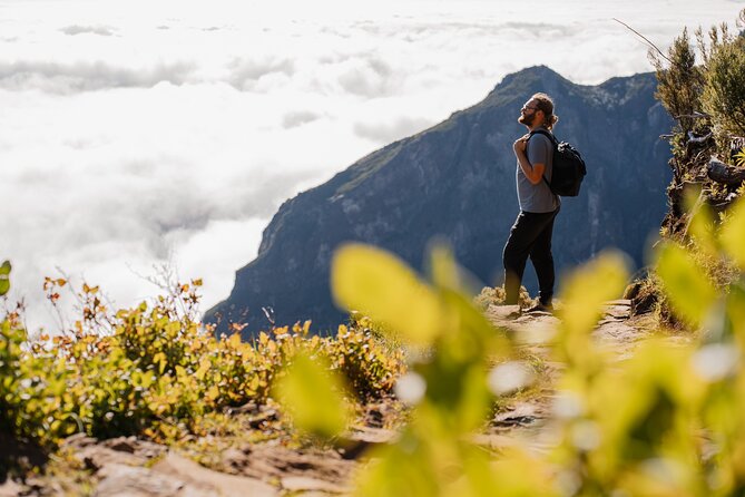 PR1 Pico do Arieiro Self-Guided Hiking Transfer (Morning slot) - Price and Logistics: Why $38.55 Can Actually Be Good Value