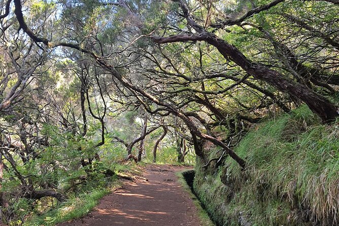 PR6 & PR6.1 25 Fontes & Risco Levada Self-Guided Hiking Rabaçal - 5 Key Things You’ll Notice on This PR6 + PR6.1 Hike