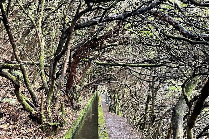 PR6 & PR6.1 25 Fontes & Risco Levada Self-Guided Hiking Rabaçal - The Real Hook: 25 Fontes and Risco Levada, With Your Own Pace