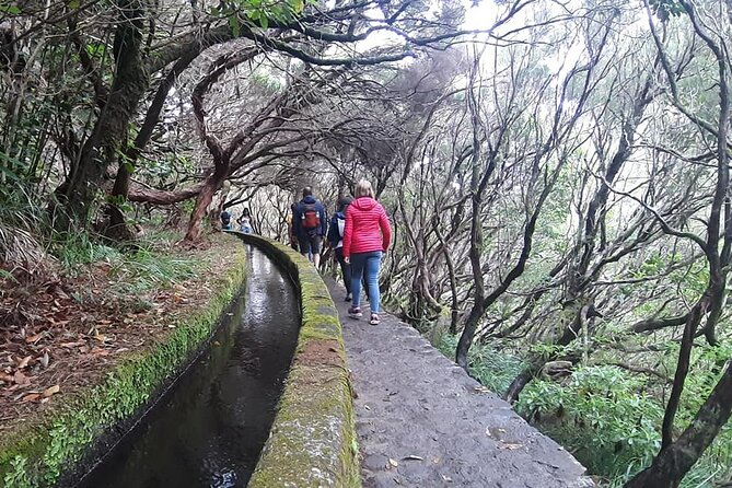 PR6 & PR6.1 25 Fontes & Risco Levada Self-Guided Hiking Rabaçal - Starting Point Reality: Parking Lot 25 Fontes and the Morning Advantage