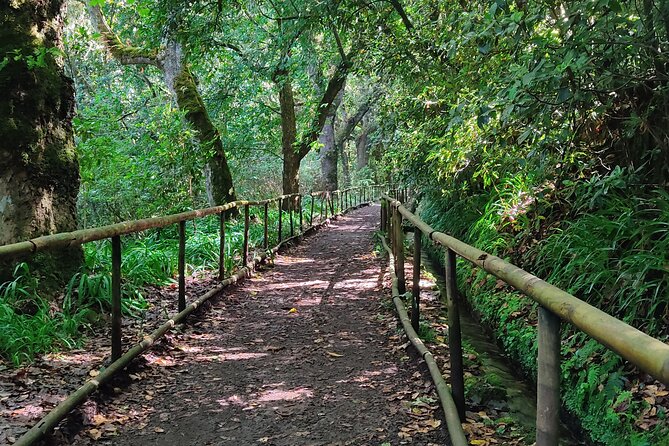 PR9 Caldeirão Verde Queimadas Levada Self-Guided Hiking Transfer - Key highlights to know before you go