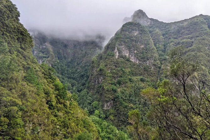 PR9 Caldeirão Verde Queimadas Levada Self-Guided Hiking Transfer - The Cafe, Museum, and Gardens Moment You’ll Actually Use