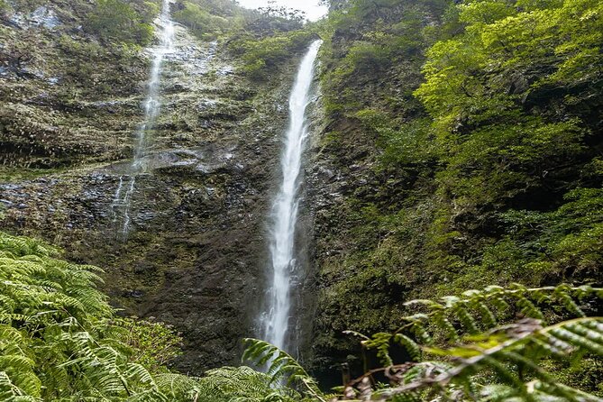 PR9 Caldeirão Verde Queimadas Levada Self-Guided Hiking Transfer - PRjoel Um Caminho para Todos: The Short Finale to Pico das Pedras