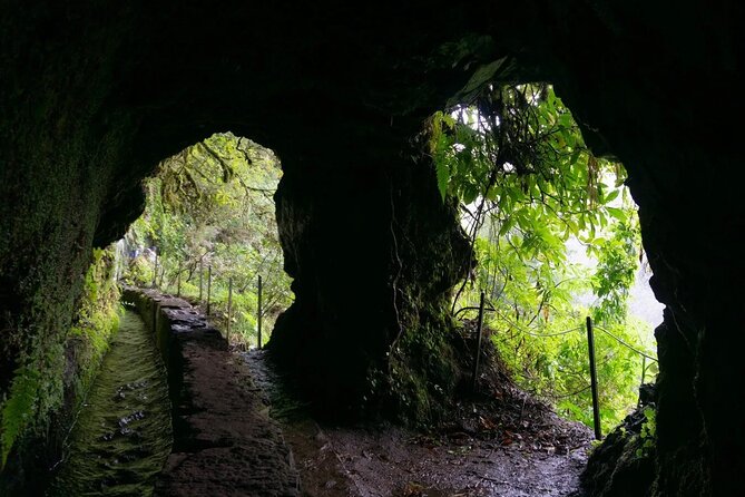 PR9 Caldeirão Verde Queimadas Levada Self-Guided Hiking Transfer - Transfer Home: Same Place Pickup and a Clean End to the Day