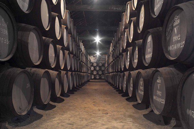 Premium Porto Private Day Trip from Lisbon with Local Guide - Church Stops Around the Clerigos Area: What You Can See, What’s Optional
