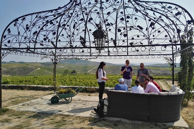 Premium Private Douro Tour: 3 Wineries with Tastings & Lunch - Porto Pickup at 8:30 and the Road to the Alto Douro