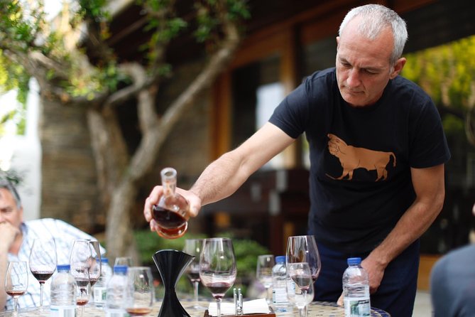 Premium Private Douro Tour: 3 Wineries with Tastings & Lunch - Pinhão Area, Viewpoints, and the Tile-Blue Railway Stop