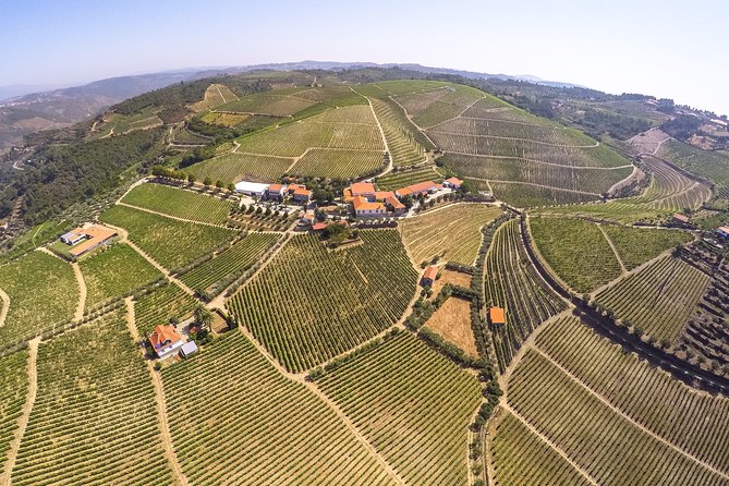 Premium Private Douro Tour: 3 Wineries with Tastings & Lunch - Quinta de Tourais: How Douro DOC and Port Are Made Differently