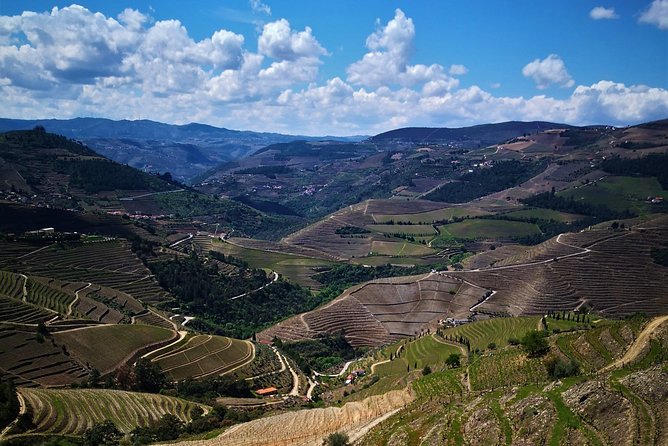Premium Private Douro Tour: 3 Wineries with Tastings & Lunch - Quinta Seara d’Ordens: Family Producers and More Than Wine