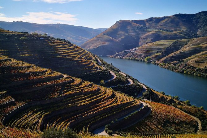 Premium Private Douro Tour: 3 Wineries with Tastings & Lunch - Lunch at a Winery Restaurant: Real Food, Paired Wine, 3 Courses