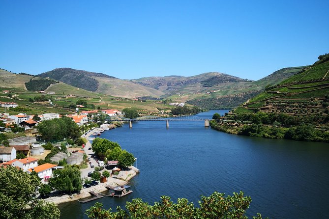 Premium Private Douro Tour: 3 Wineries with Tastings & Lunch - Tastings You’ll Actually Taste: Moscatel, Douro DOC, Port, and Olive Oil