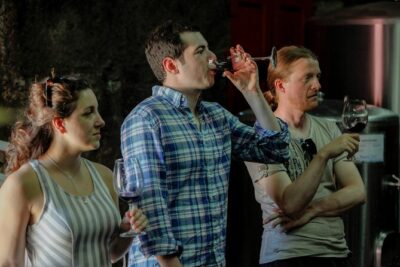 PREMIUM TASTING and TAPAS with GUIDED TOUR - Quinta do Beijo’s Cellars: Where the Tour Actually Feels Like a Winery
