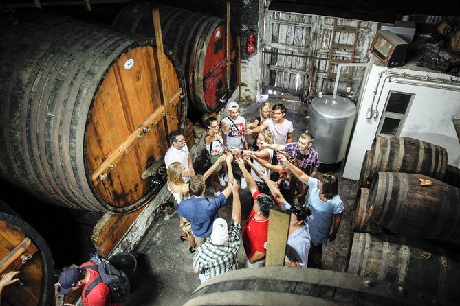 PREMIUM TASTING and TAPAS with GUIDED TOUR - Should You Book Quinta do Beijo Premium Tasting and Tapas?