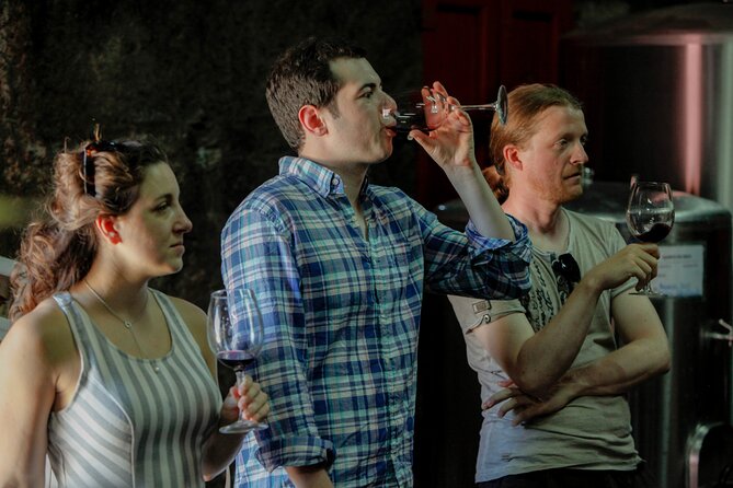 PREMIUM TASTING and TAPAS with GUIDED TOUR - Quinta do Beijo’s Cellars: Where the Tour Actually Feels Like a Winery