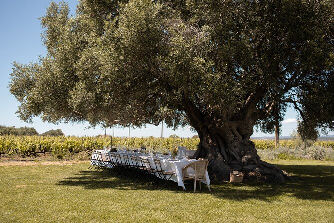 Premium Vineyard Tour & Tasting - Where Morgado do Quintão fits on your Algarve day