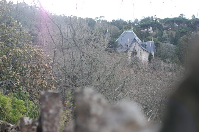 Private 1 hour and half Sintra Guided Tour - Castelo dos Mouros: Moorish Castle Views That Land Hard