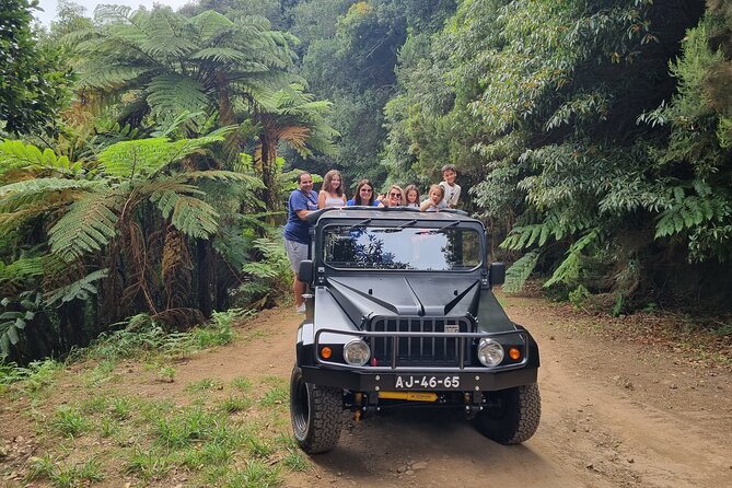 Private 4x4 Jeep Full Day Porto Moniz or Santana - The stops that matter most: viewpoints, pools, and forest moments