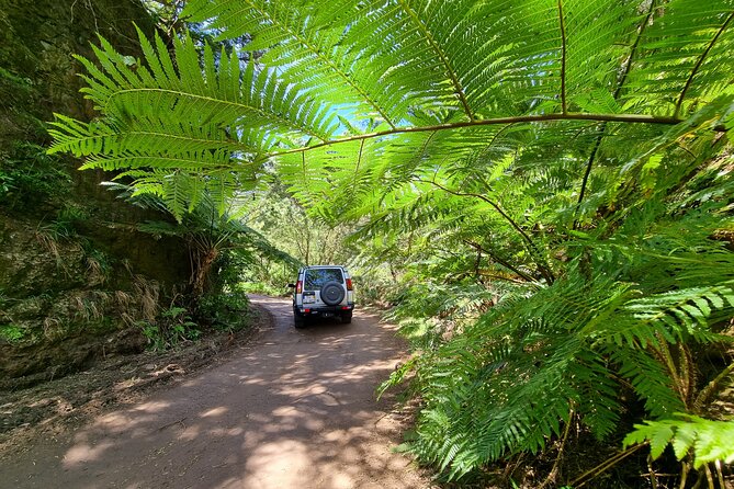Private 4x4 Jeep Full Day Porto Moniz or Santana - Who this Madeira private Jeep day is best for