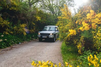 Private 4x4 Jeep Half Day - Picturesque Peaks, Vineyards, Skywalk - Câmara de Lobos: fishing village time with real boats, not just postcards