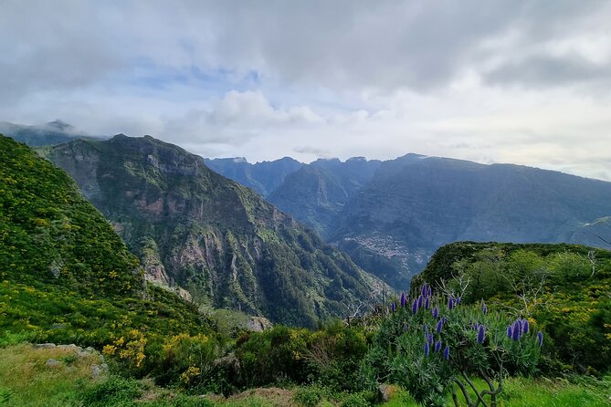 Private 4x4 Jeep Half Day - Picturesque Peaks, Vineyards, Skywalk - Boca da Corrida and Bar Mário: bathroom break plus flavor options