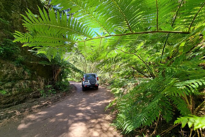Private 4x4 Jeep Half Day - Picturesque Peaks, Vineyards, Skywalk - The guide makes the tour: how Edgar’s flexibility changes your day