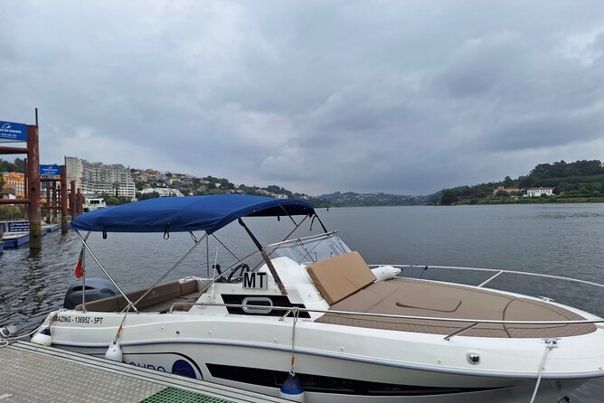 Private 6 Bridges Cruise with Tapas and Port Wine - Starting at Marina do Freixo: Easy Access, Calm Energy