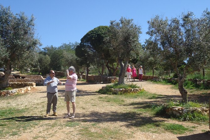Private Algarve Tour with Typical Lunch, pax min. 2. - Motion Sickness, Weather, and Comfort Planning