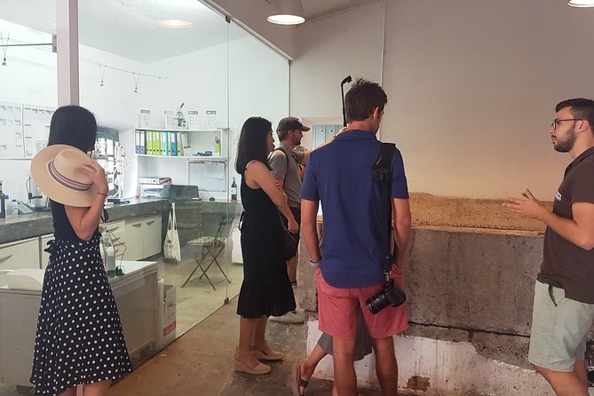 Private Algarve Wines Route - Two Quintas, One Afternoon: How the Tour Flows from Lagos