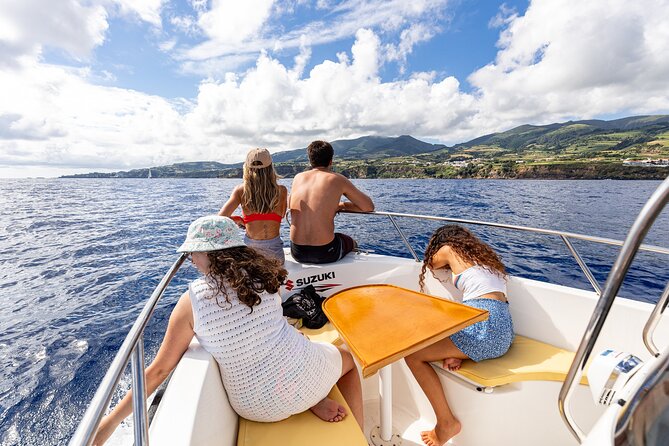 Private boat tour of the islets in Vila Franca do Campo - Marine and bird life: why this focus makes the islet feel bigger