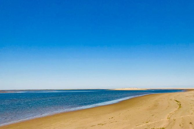 Private Catamaran Boat Tour - Ria Formosa - The on-board experience: luxury comfort plus actual local guidance