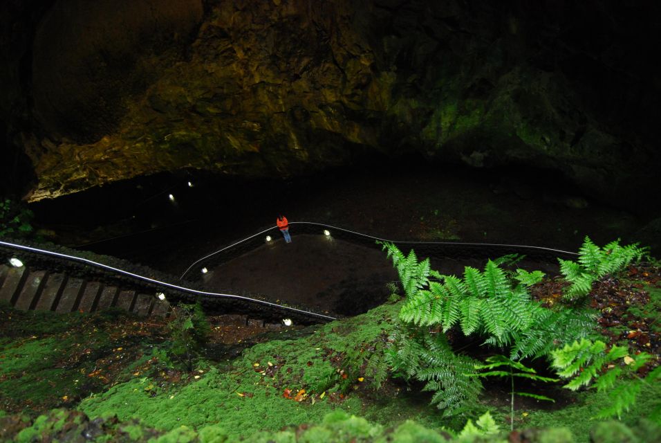 Private Caves tour with a Geologist - Pickup in Angra do Heroísmo: smooth start, clear day