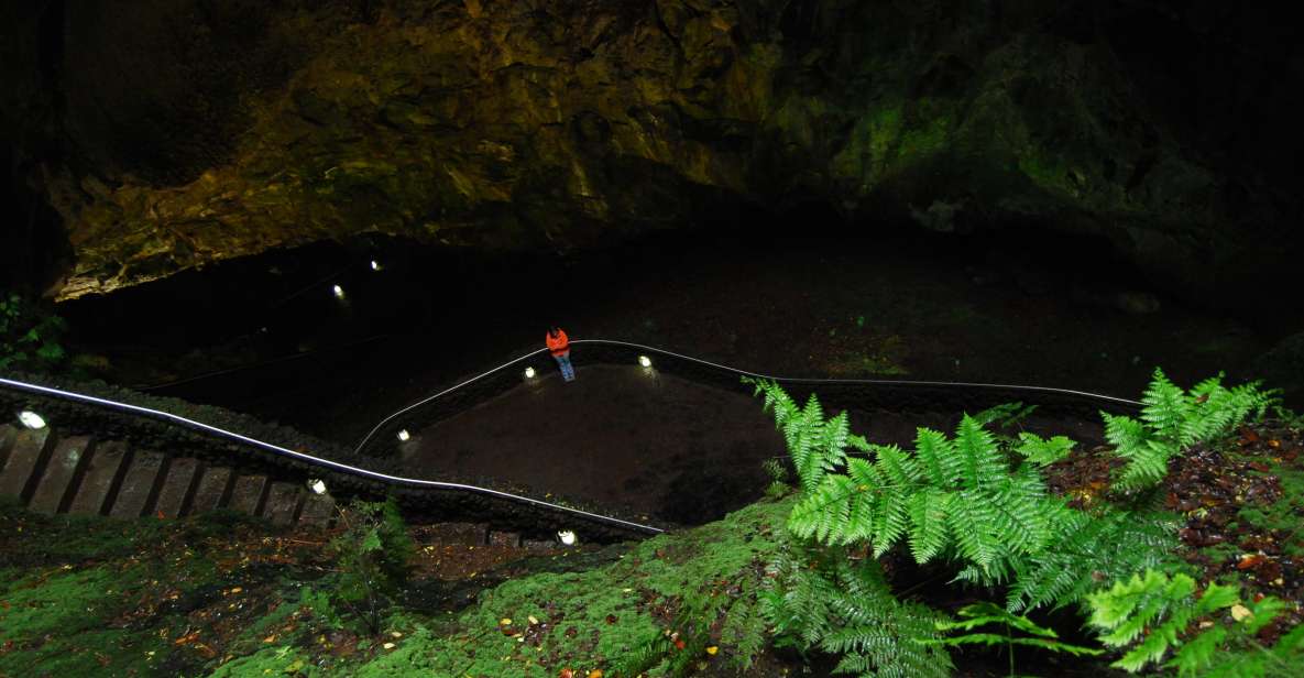 Private Caves tour with a Geologist - The quick photo stop and short walk that ties it together