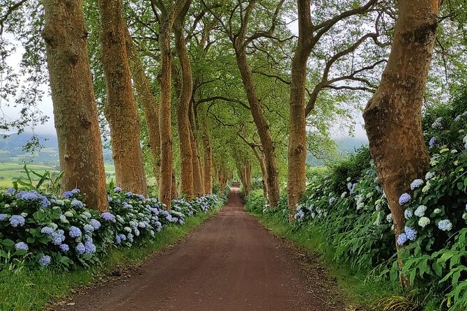 Private Custom Tour in São Miguel Island - Key highlights at a glance